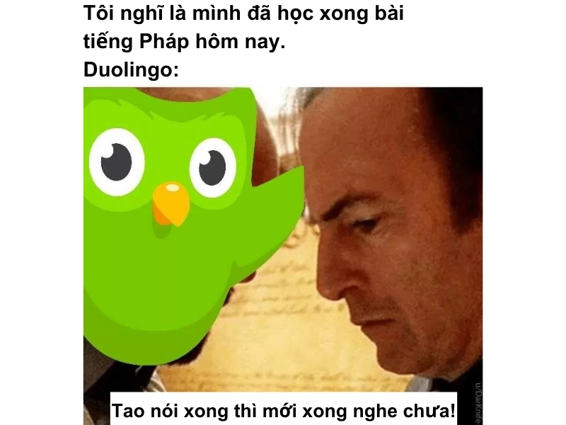 duolingo meme