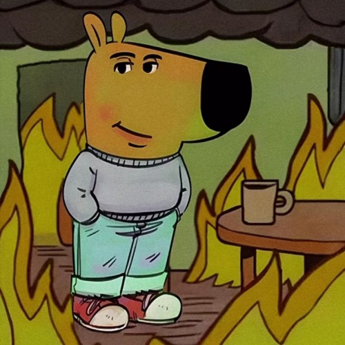 chill guy meme