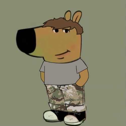 chill guy meme