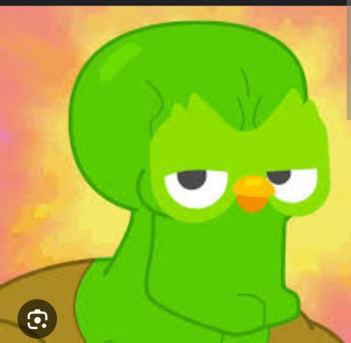 duolingo meme