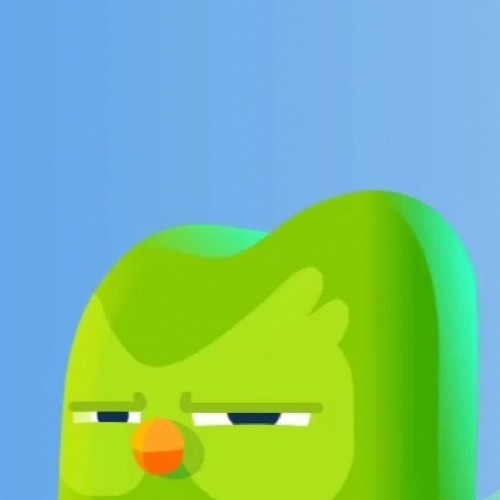 duolingo meme
