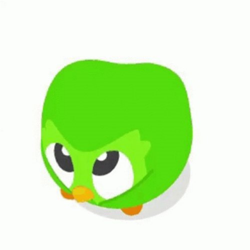 duolingo meme