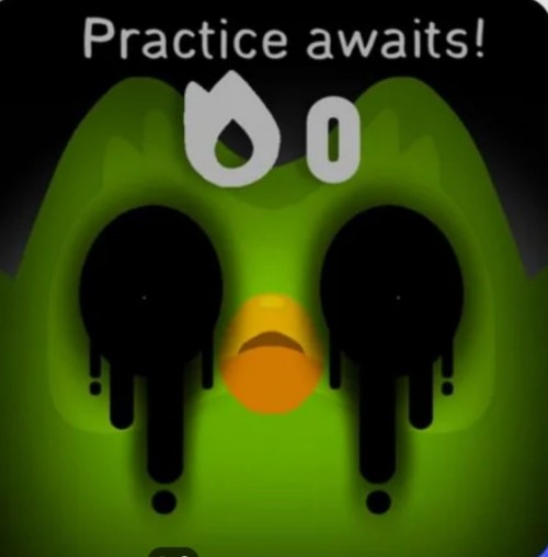 duolingo meme