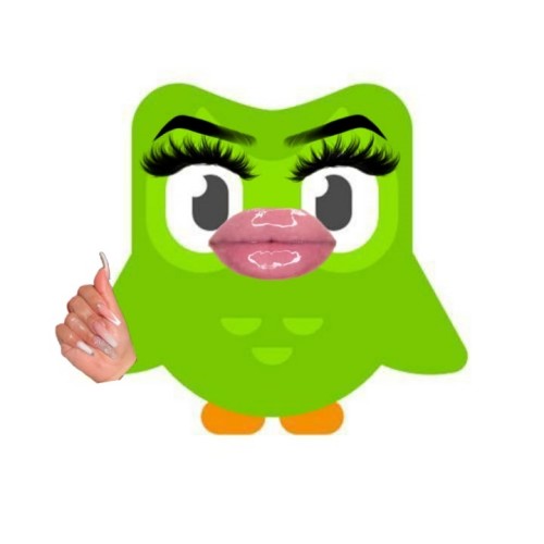 duolingo meme