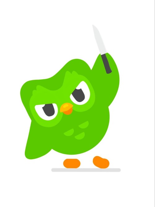 duolingo meme