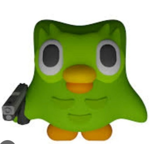 duolingo meme