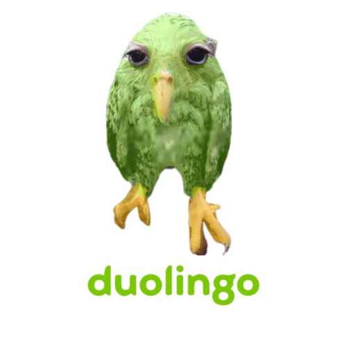 duolingo meme