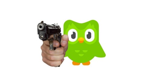 duolingo meme