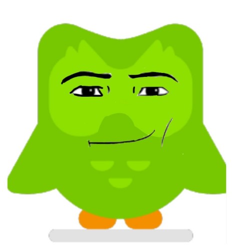 duolingo meme