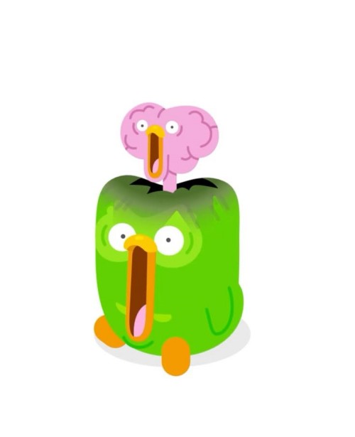 duolingo meme