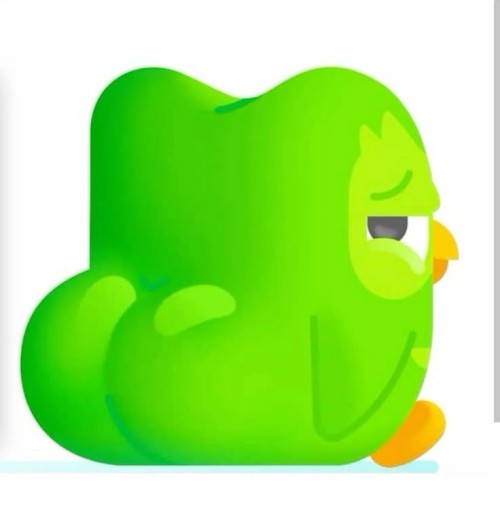 duolingo meme