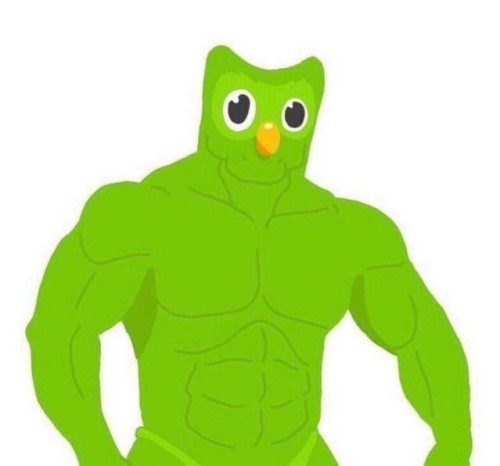 duolingo meme