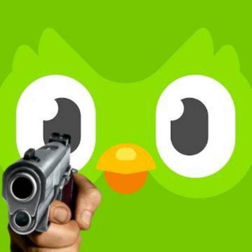 duolingo meme
