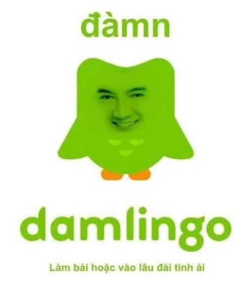 duolingo meme