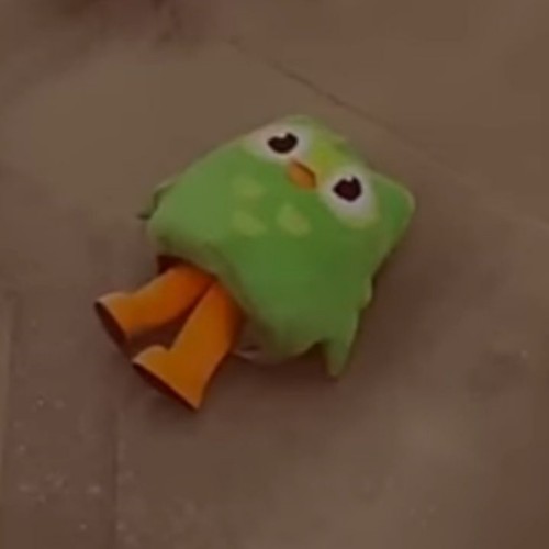 duolingo meme