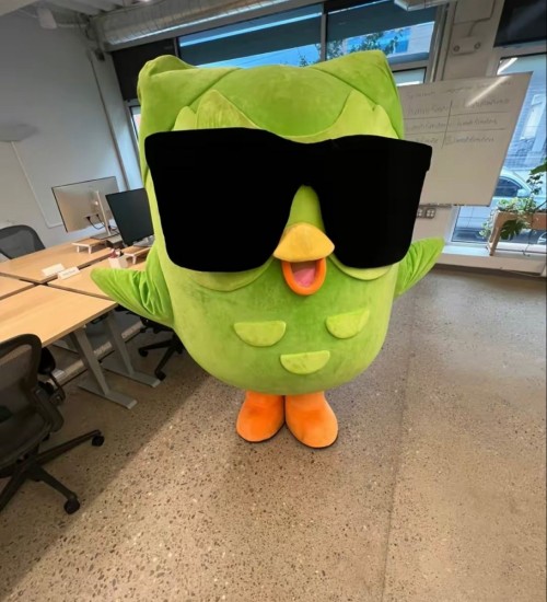 duolingo meme