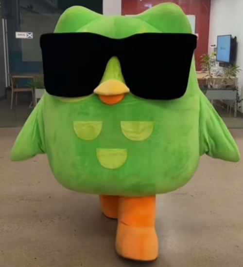 duolingo meme