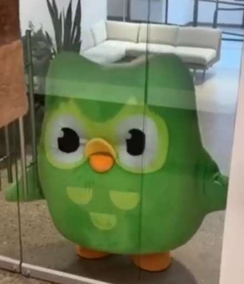 duolingo meme
