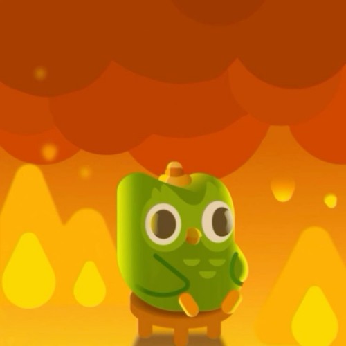 duolingo meme