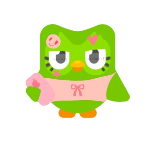 duolingo meme