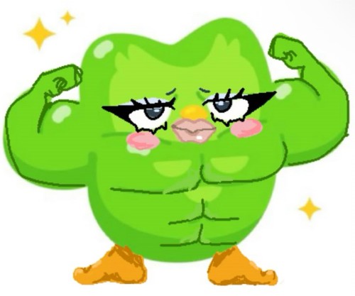 duolingo meme