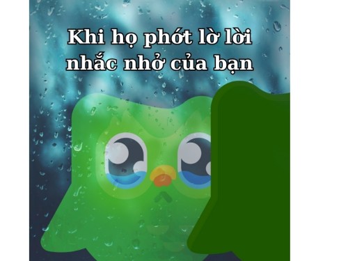 duolingo meme