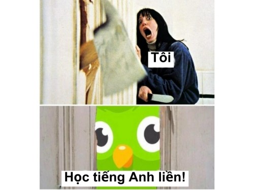 duolingo meme