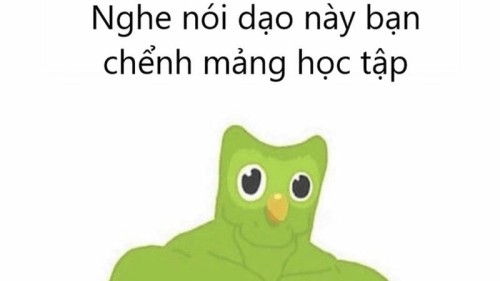 duolingo meme