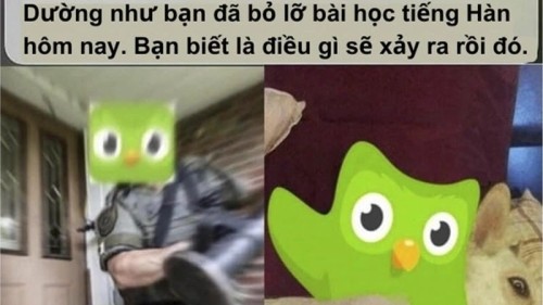 duolingo meme