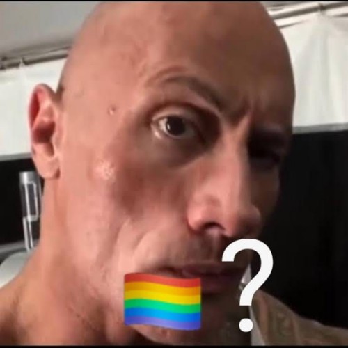 gay meme