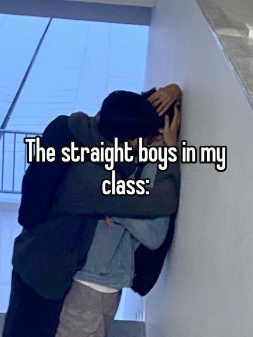 gay meme