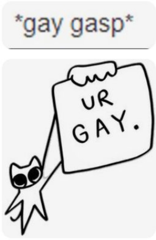 gay meme