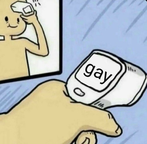 gay meme