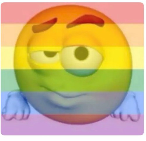 gay meme