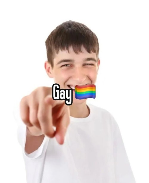 gay meme