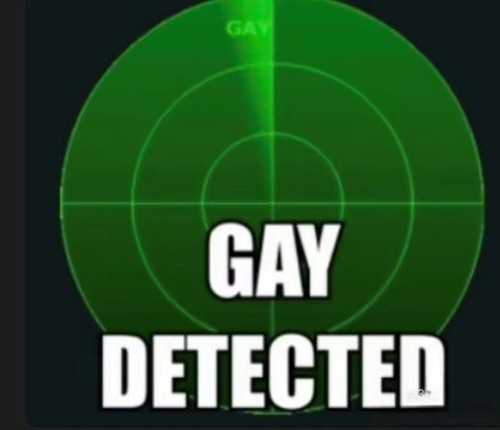 gay meme