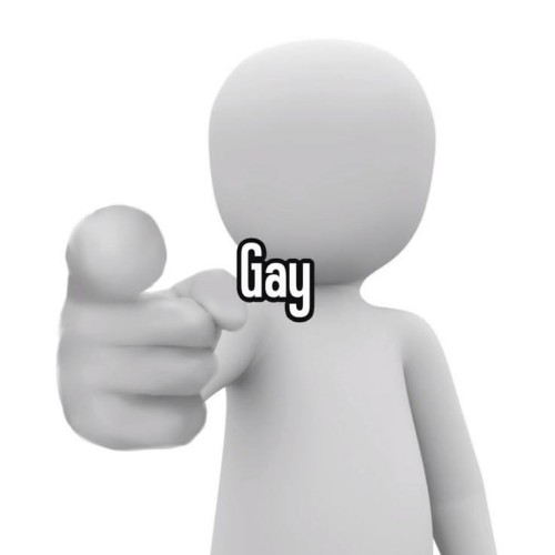 gay meme