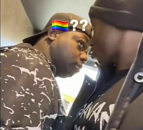 gay meme