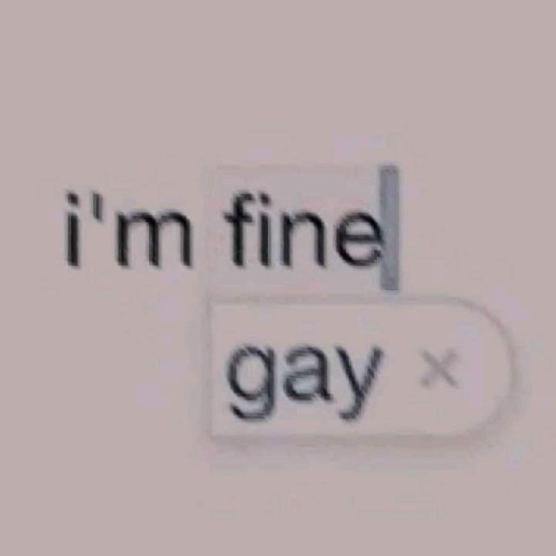 gay meme