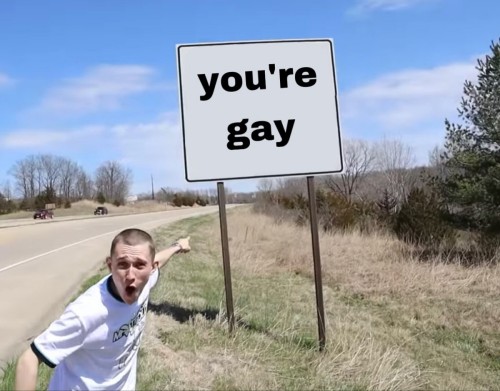 gay meme