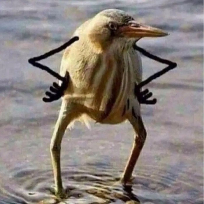 meme chống nạnh