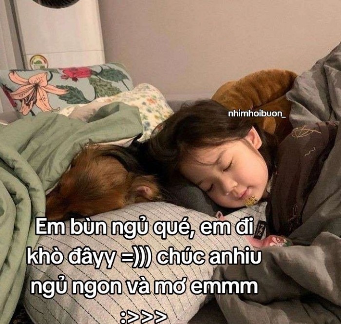 meme chúc ngủ ngon