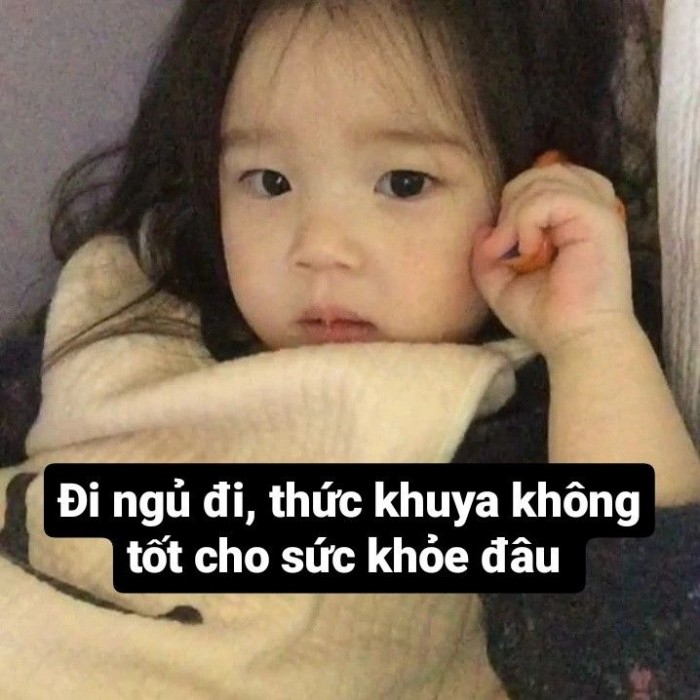 meme chúc ngủ ngon