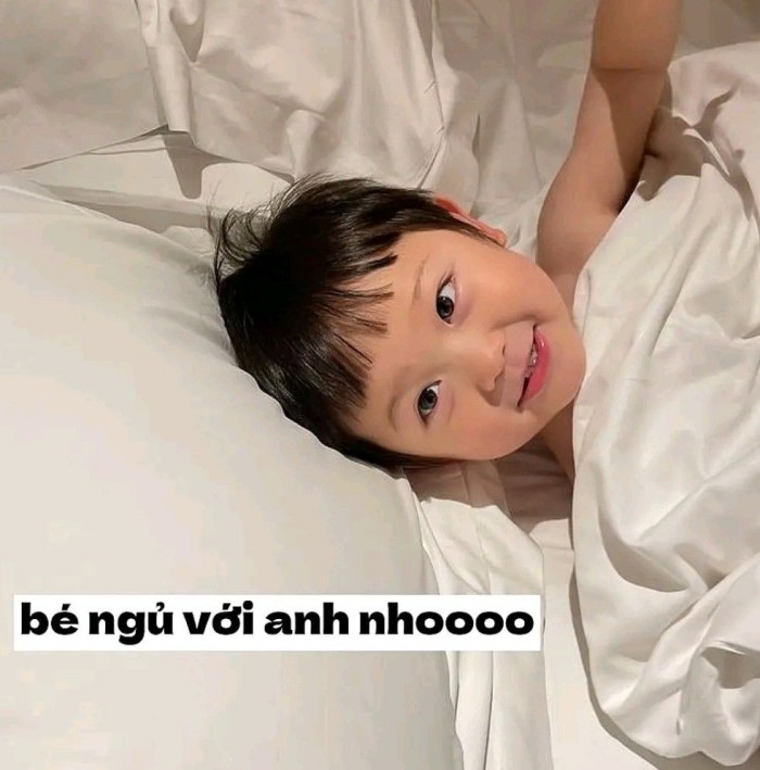 meme chúc ngủ ngon