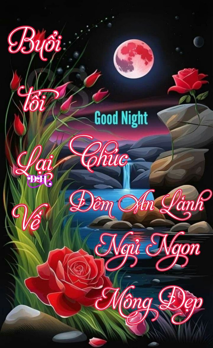 meme chúc ngủ ngon