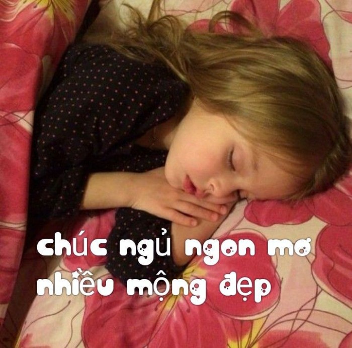 meme chúc ngủ ngon