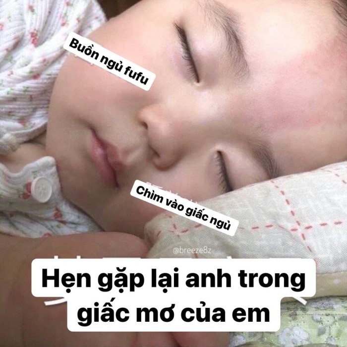 meme chúc ngủ ngon