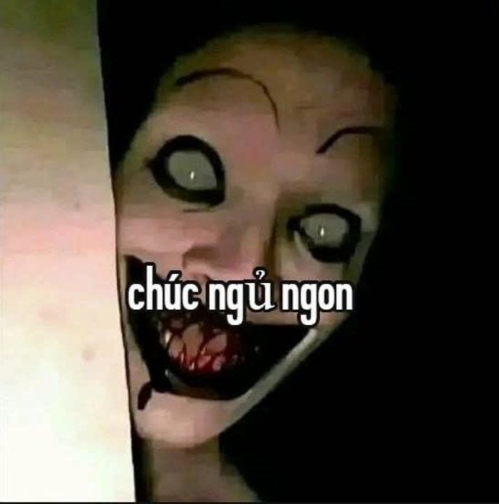 meme chúc ngủ ngon