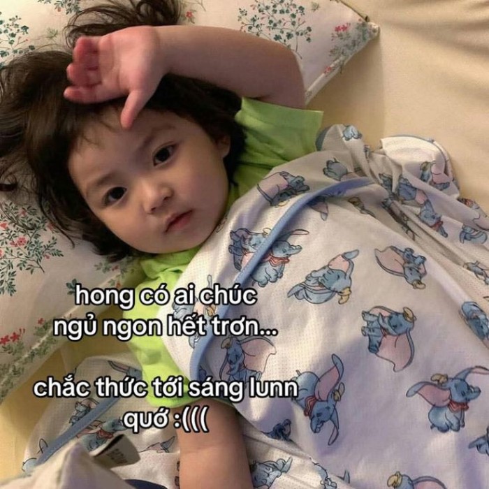 meme chúc ngủ ngon