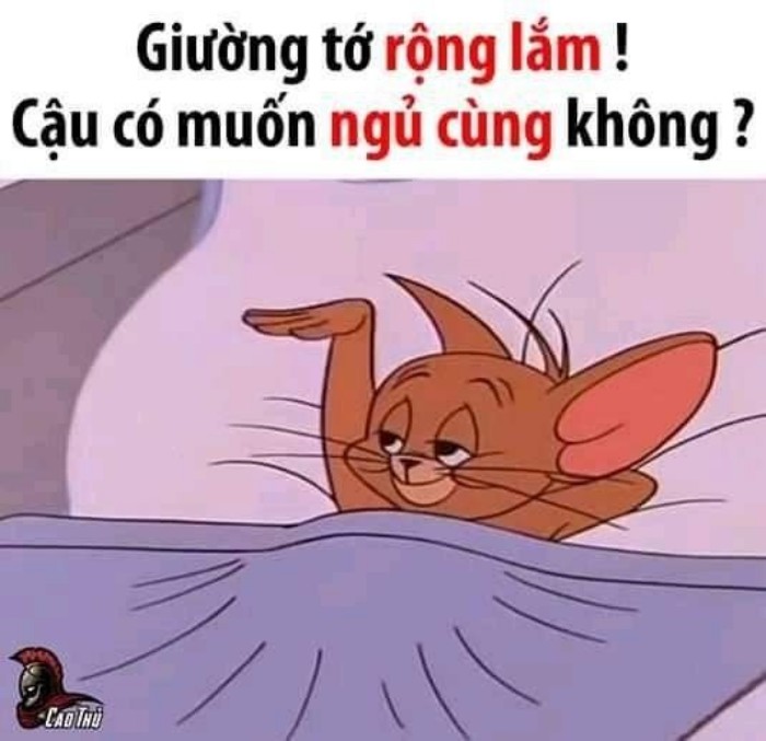 meme chúc ngủ ngon
